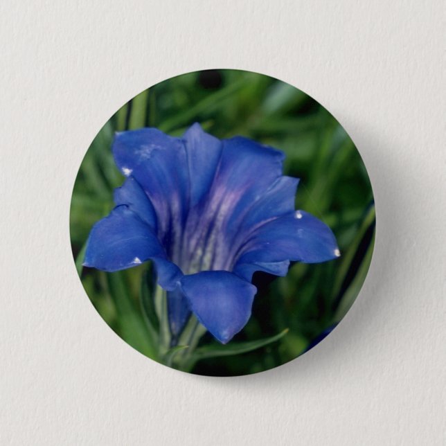 Blue Gentian flowers 6 Cm Round Badge (Front)