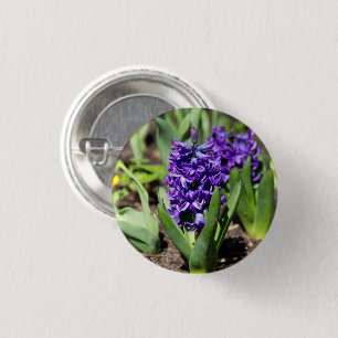 Blue Geocinth in spring 3 Cm Round Badge