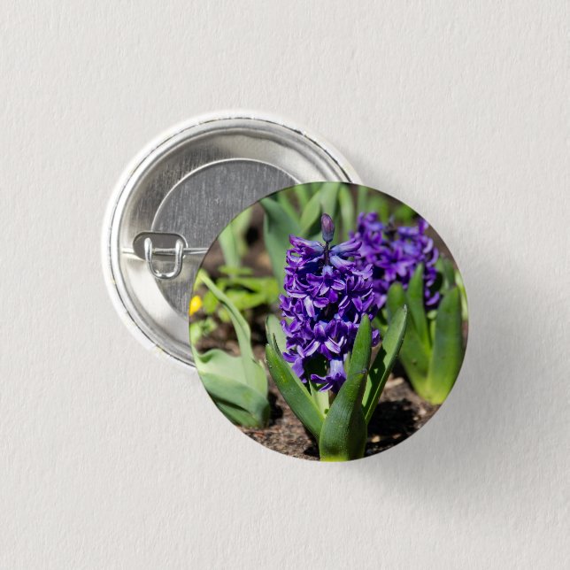 Blue Geocinth in spring   3 Cm Round Badge (Front & Back)