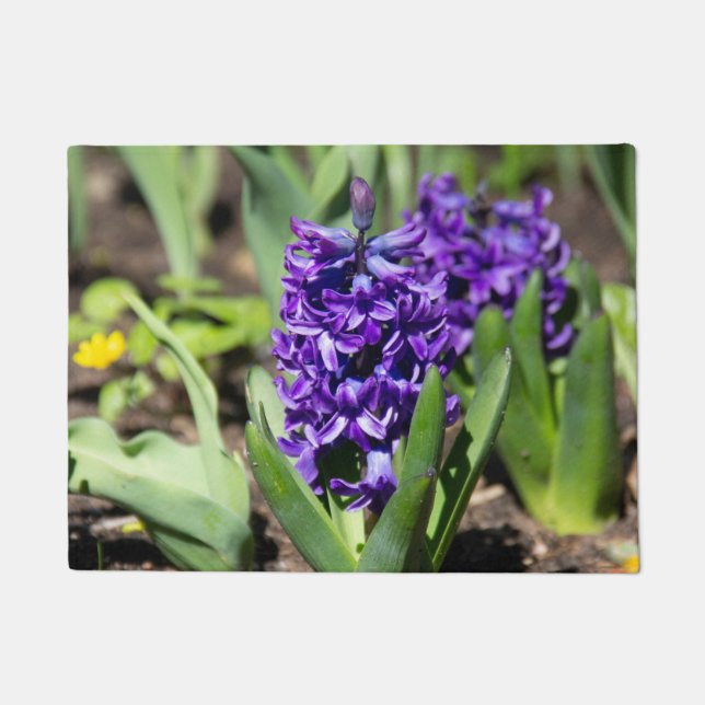 Blue Geocinth in spring      Doormat (Front)
