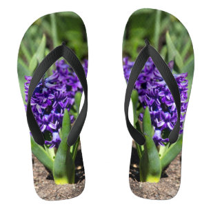 Blue Geocinth in spring      Flip Flops