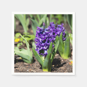 Blue Geocinth in spring Napkin