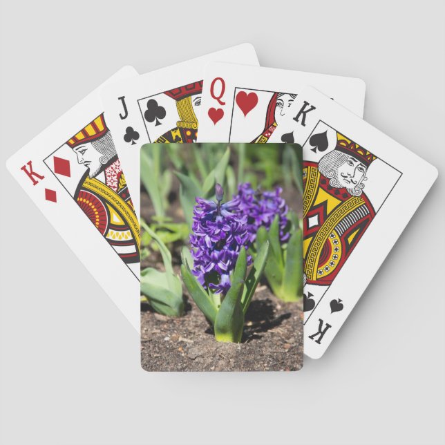 Blue Geocinth in spring   Playing Cards (Back)