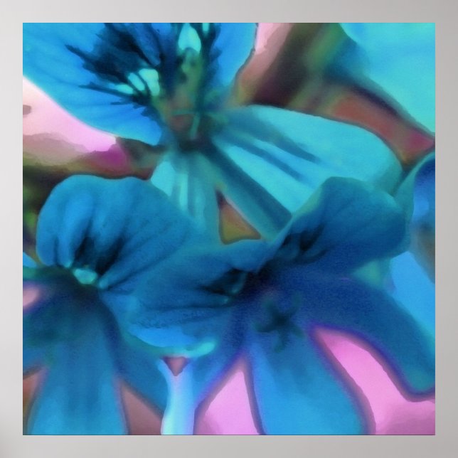 Blue Geraniums Poster (Front)