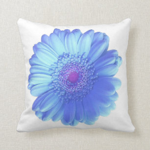 Blue gerbera daisy cushion