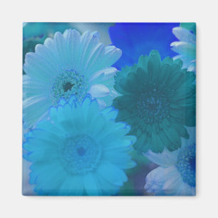 Blue Gerbera Daisy Flowers Refrigerator Magnets