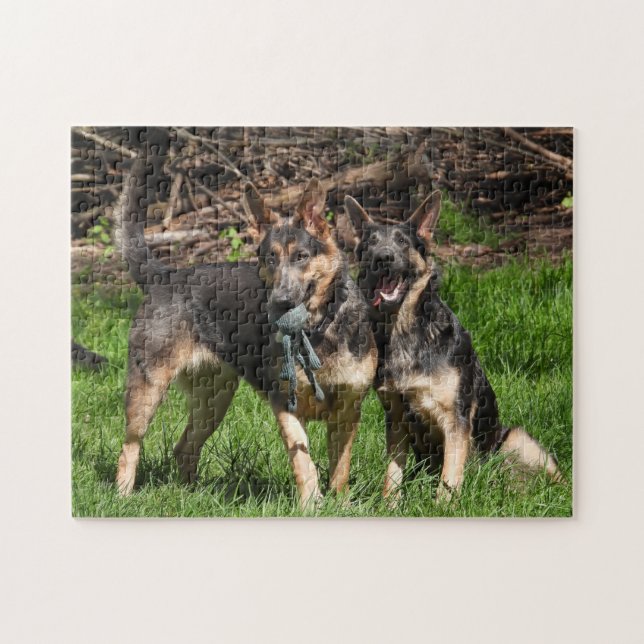 Blue German Shepherd Duo Jigsaw Puzzle (Horizontal)