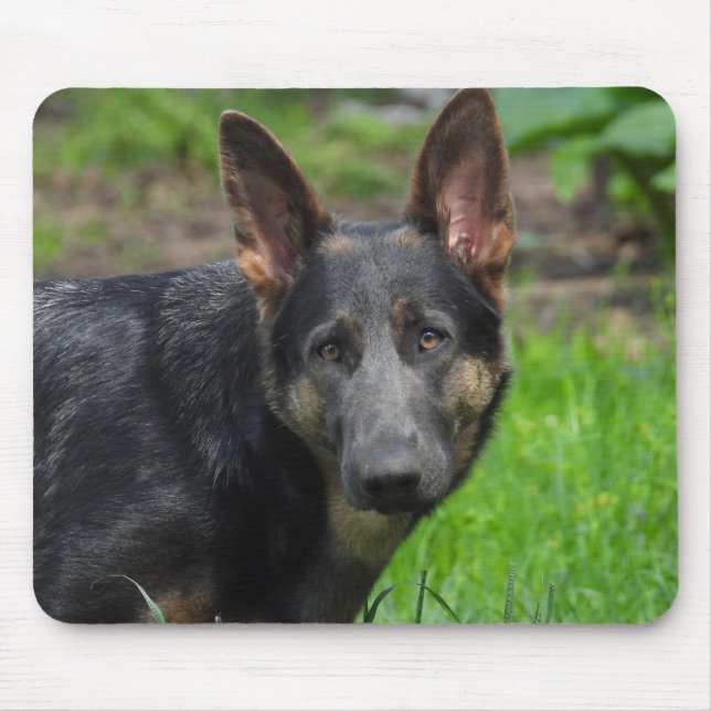 Blue German Shepherd Mouse Mat (Front)