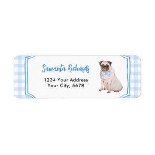 Blue Gingham Dog Boy Address