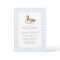 Blue Gingham Mallard Duck Baby Shower