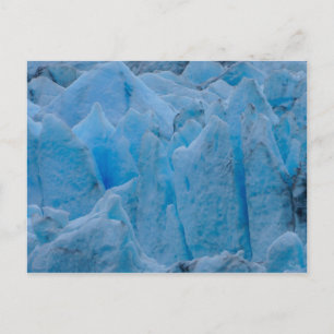 Blue Glacier Postcard
