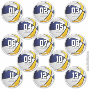 blue gold basketballs custom 13 players names