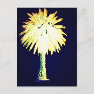Blue Gold Canary Island Date Palm Postcard
