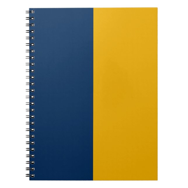 Blue & Gold CUSTOM Notebook (Front)