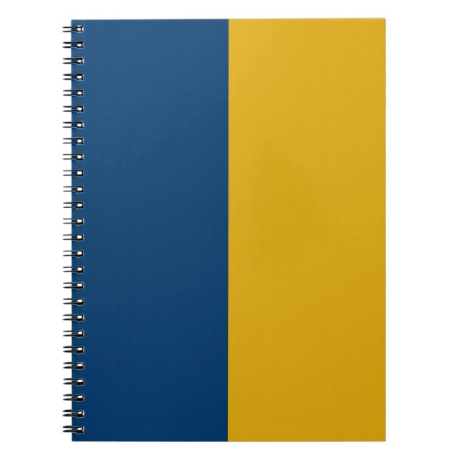 Blue & Gold CUSTOM Notebook (Front)