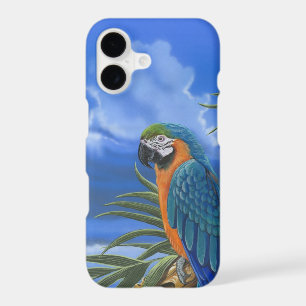 Blue & Gold Macaw