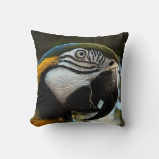 Blue Gold Macaw Face Close Up Pillow
