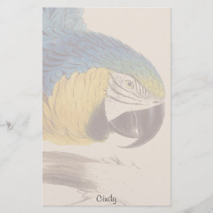 Blue Gold Macaw Parrot Bird Wildlife Stationery