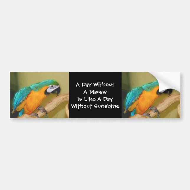 Blue Gold Macaw Parrot Cute Bumper Sticker (Front)