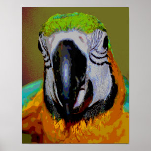 Blue Gold Macaw Parrot Face Abstract Art Poster