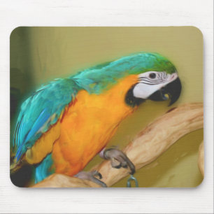 Blue Gold Macaw Parrot Painting Animal Art Mouse Mat