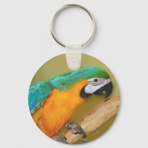 Blue Gold Macaw Parrot Painting Keychain