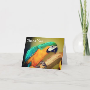 Blue Gold Macaw Parrot Painting Thank You Card