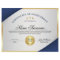 Blue & Gold Professional Certificate Award