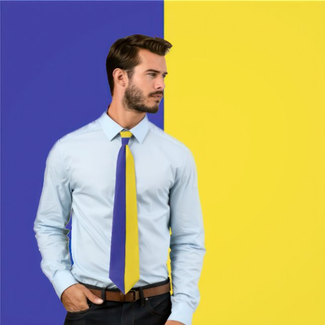 Blue & Gold Split Colour Design Neck Tie (Man wears a Blue & Gold Split Color Design Neck Tie.)