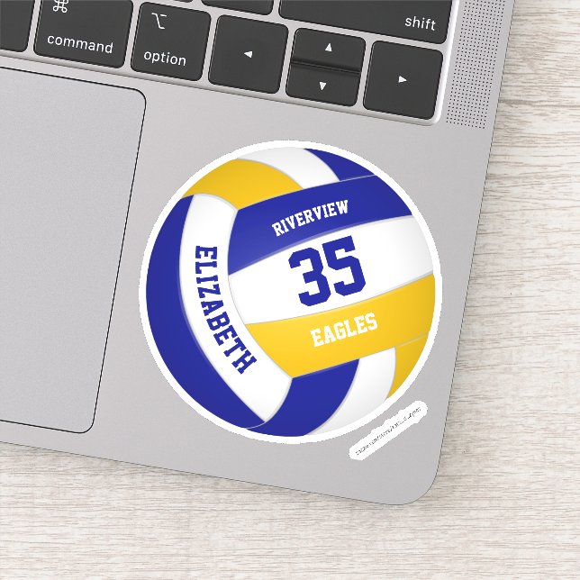 blue gold team colours girls boys volleyball (Detail)