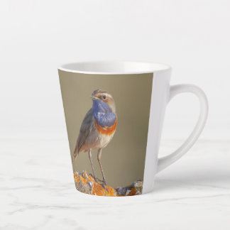 Blue gorgeous cup