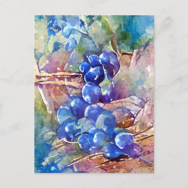 Blue grapes painted postcard (Front)