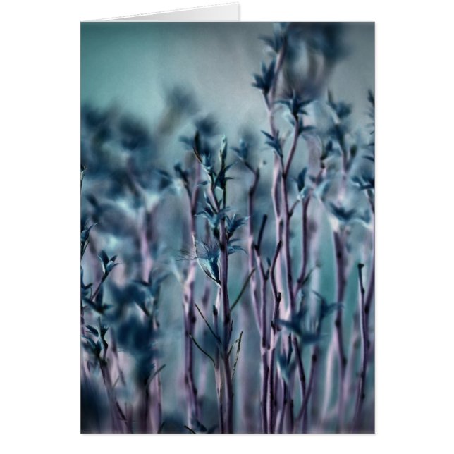 Blue Grass (Front)