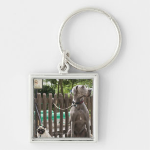 Blue Great Dane and pug dogs on leashes Key Ring