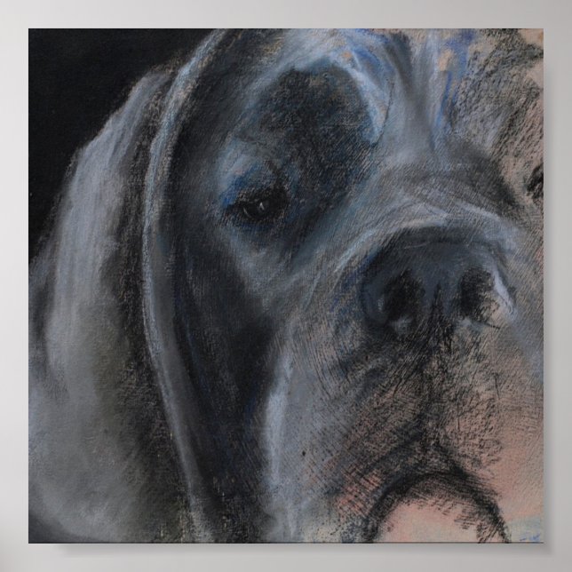 Blue Great Dane Pastel Portrait Poster (Front)