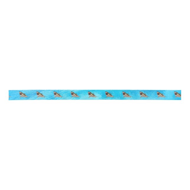 Blue Great White Shark Gift Ribbon  Satin Ribbon (Front)