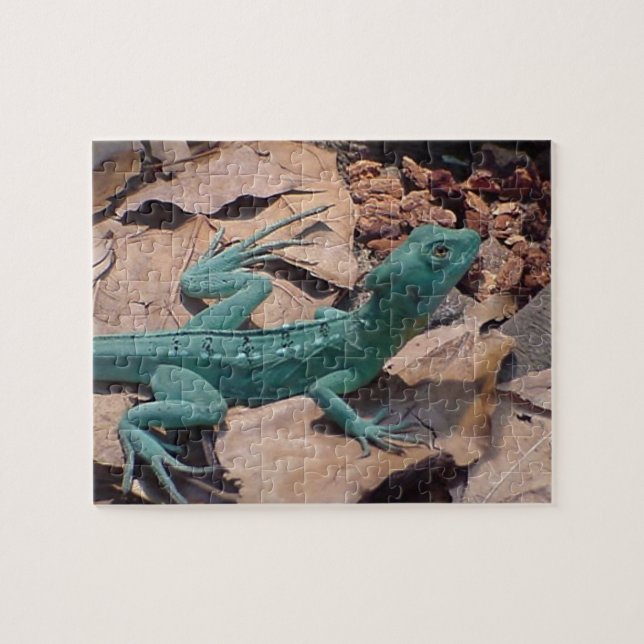 Blue Green Lizard Puzzle (Horizontal)