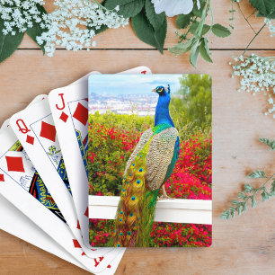 Blue Green Peacock Photo Beautiful Stylish Chic Playing Cards