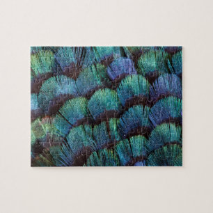 Blue-green pheasant feather design jigsaw puzzle
