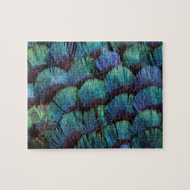 Blue-green pheasant feather design jigsaw puzzle (Horizontal)