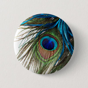 Blue Green Purple Exotic Peacock Feather 6 Cm Round Badge