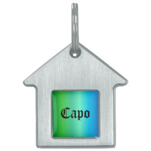 Blue green Rainbow Pet ID Tag