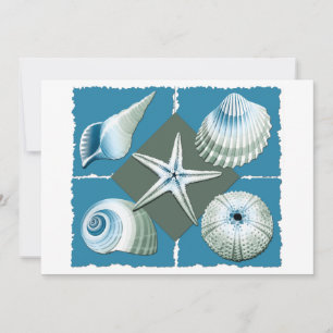Blue & Green Sea Shells Invitation