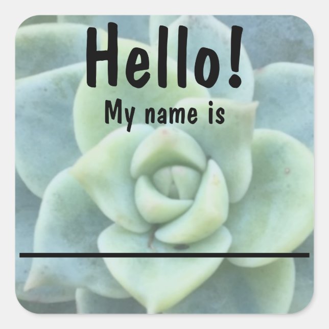 Blue Green Succulent Name tag Stickers (Front)