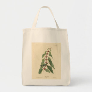 Blue-green Warbler from Audubon's Birds of America Tote Bag