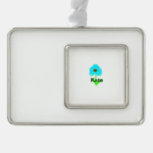 Blue green watercolor add your name tex silver plated framed ornament