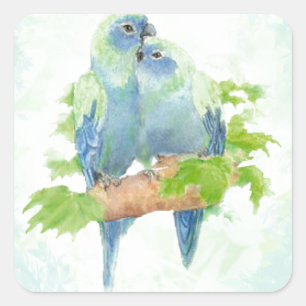 Blue & Green Watercolor Tropical Parrot Birds Square Sticker
