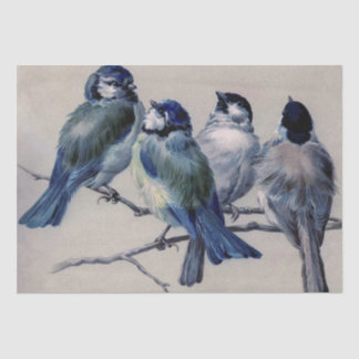 Blue Grey Birds on a Branch by Hector Giacomelli T Tissue Paper