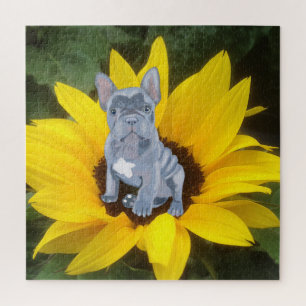 Blue Grey French Bulldog Puppy and Sunflower Jigsaw Puzzle