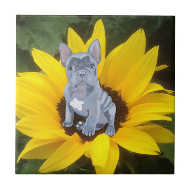 Blue Grey French Bulldog Puppy and Sunflower   Tile (Front)
